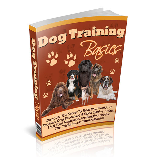 Dog Training Basics